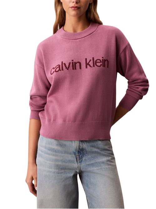 Pullover in cotone con logo Calvin Klein Jeans | LV047C311G4K4